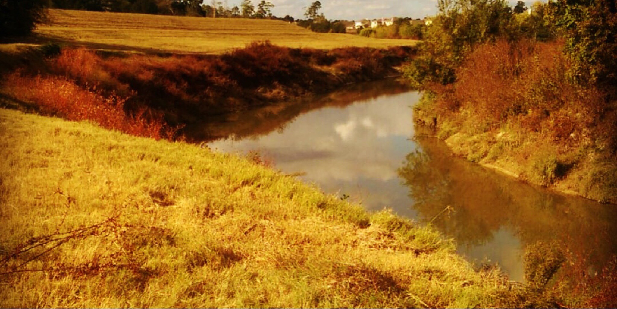 Ashton Gardens Preserve before Hurricane Harvey