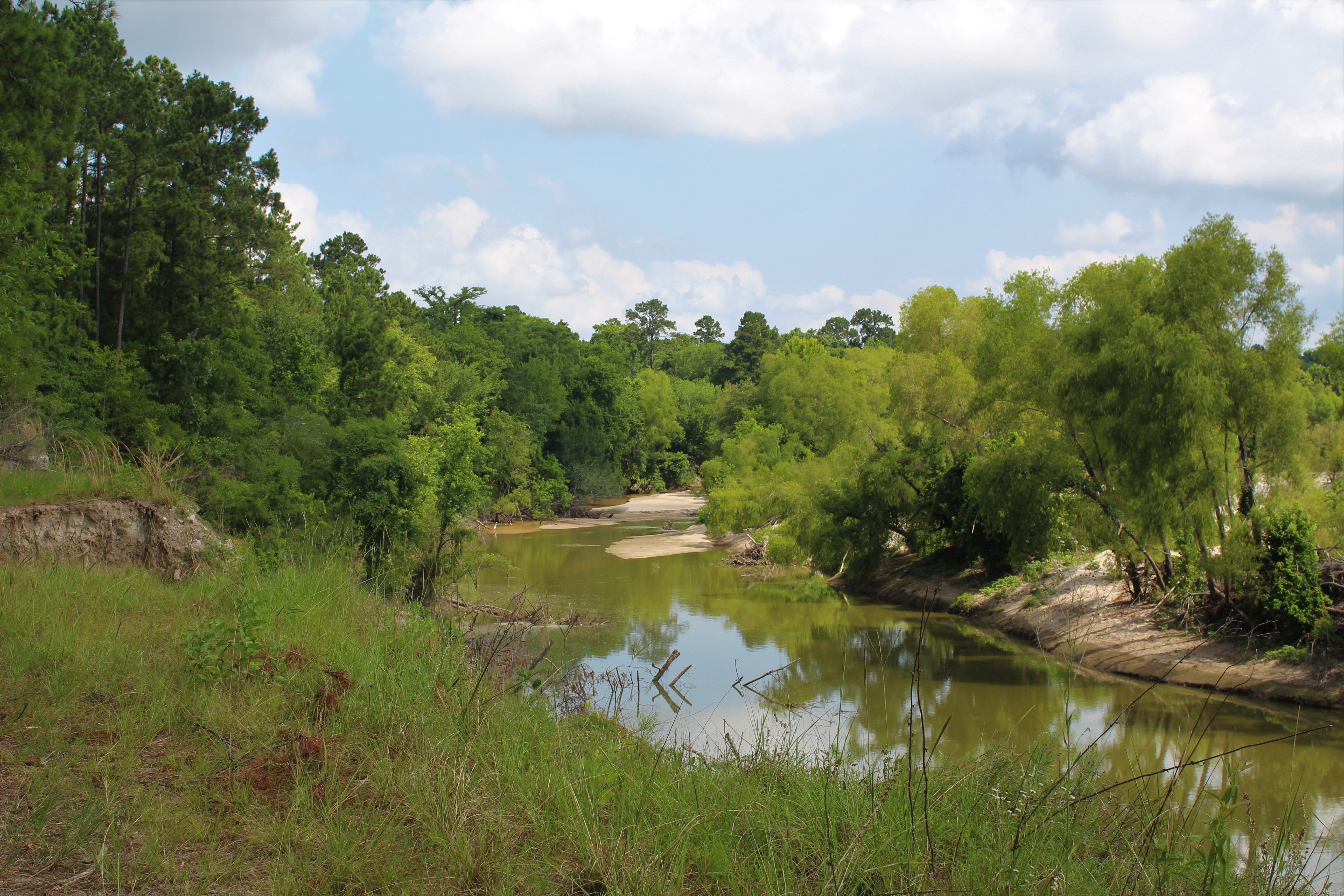Creek and forest habitat at Little Cypress Creek Preserve