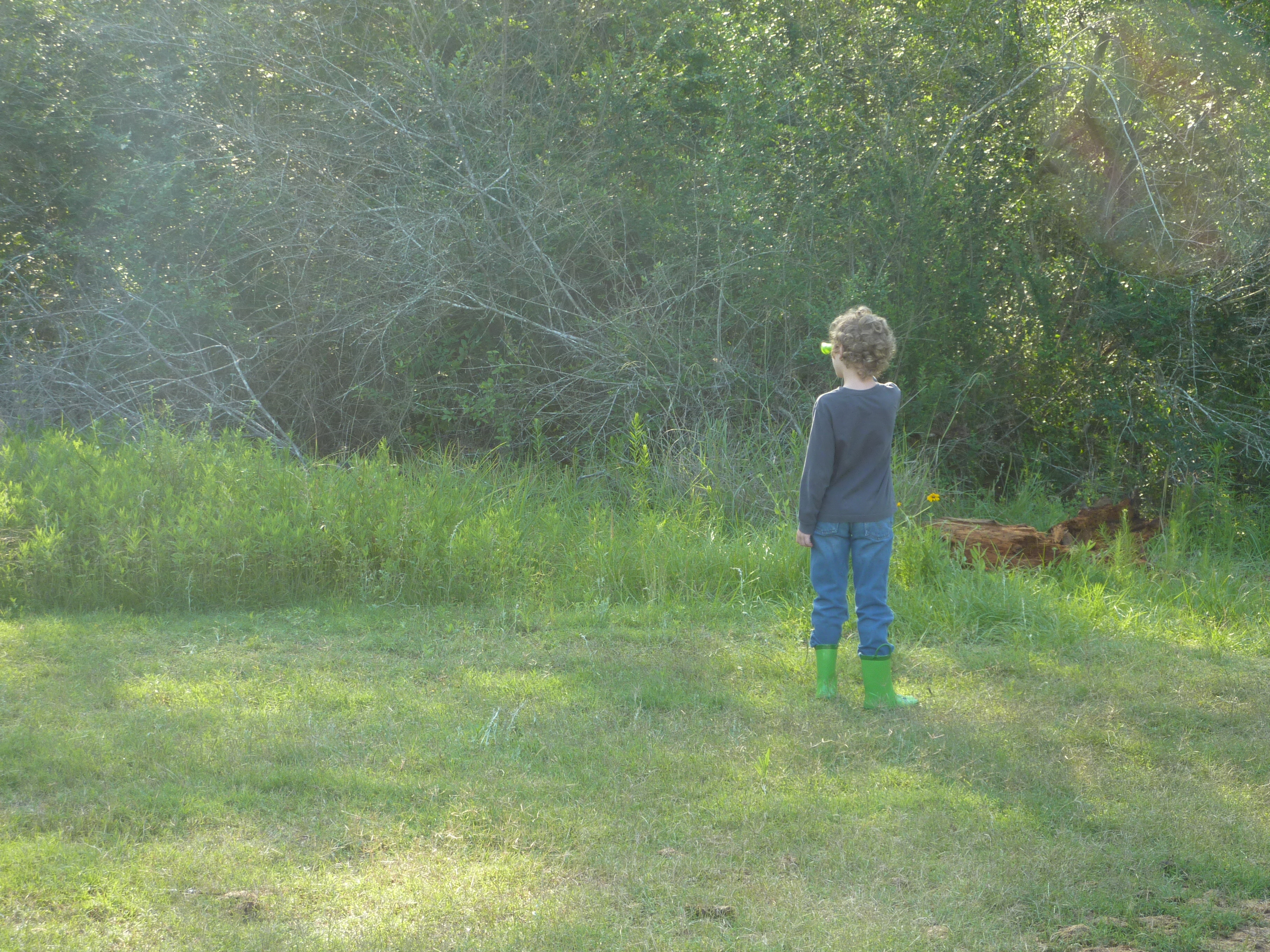 Supporters gathered outdoors for local conservation